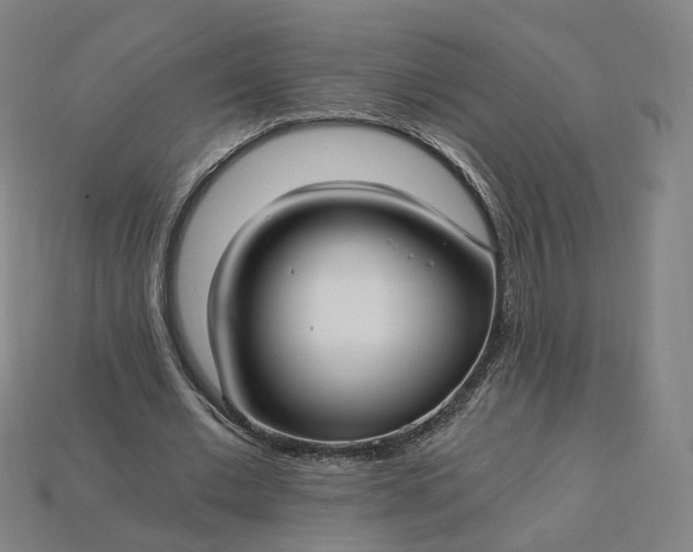 X0000115240677200911131705