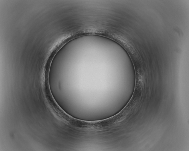 X0000115240678200911131705