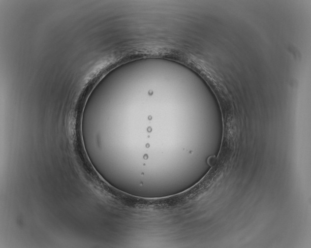 X0000115240679200911131705