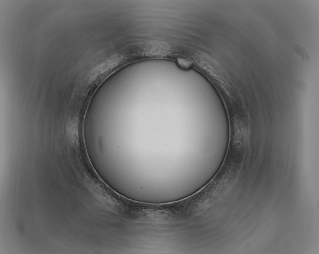 X0000115240681200911131705