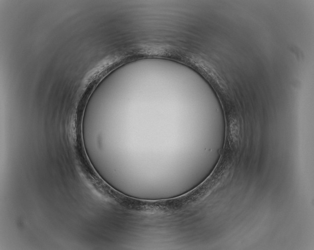 X0000115240682200911131705