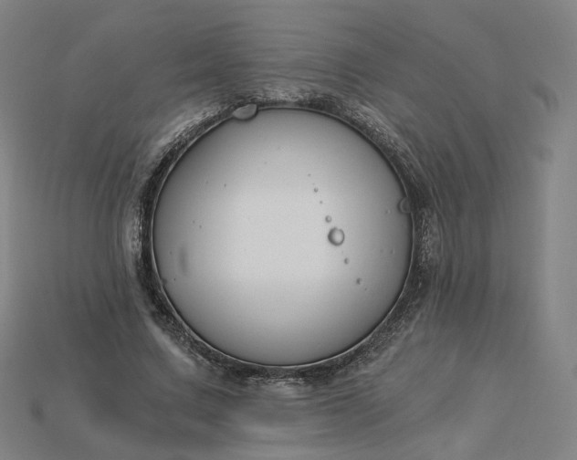 X0000115240683200911131705