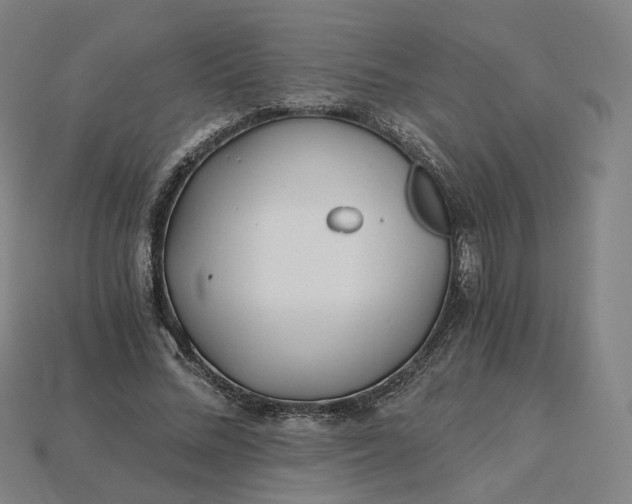 X0000115240684200911131705