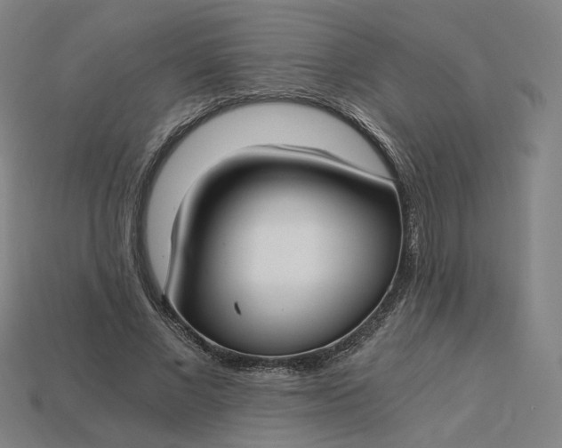 X0000115240685200911131705