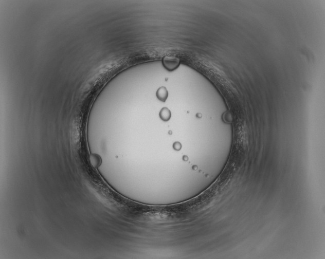 X0000115240687200911131705