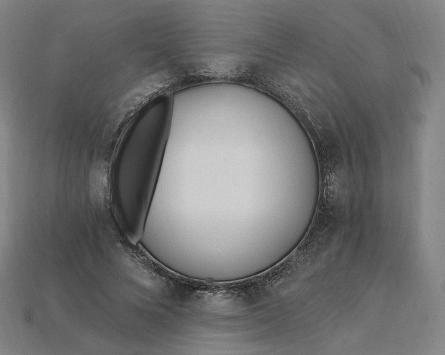 X0000115240688200911131705