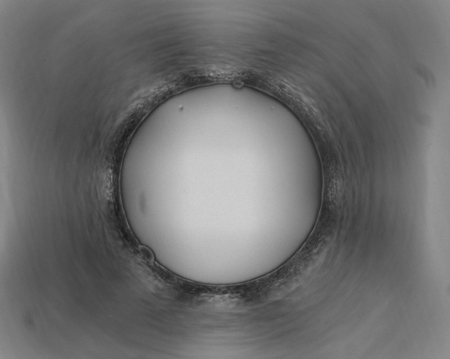 X0000115240689200911131705