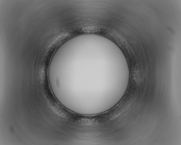 X0000115240690200911131704