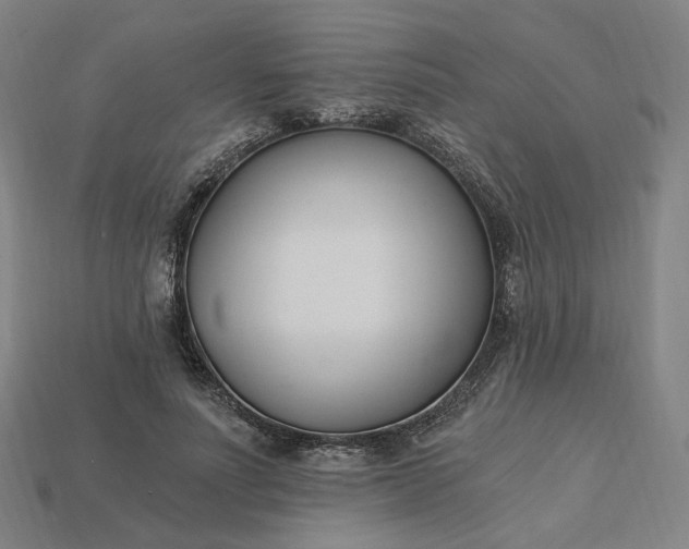 X0000115240691200911131704