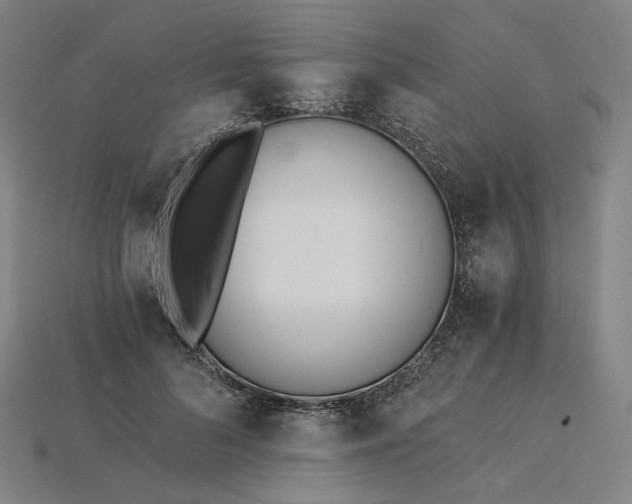 X0000115240696200911131704