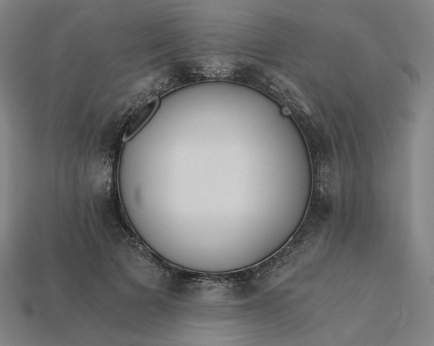 X0000115240697200911131704