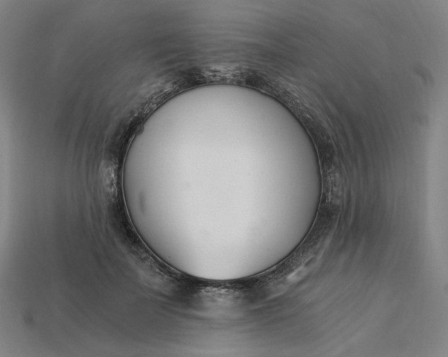 X0000115240699200911131704