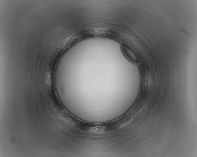X0000115240700200911131704