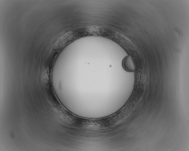 X0000115240702200911131704