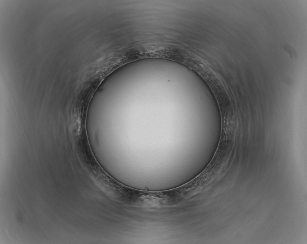 X0000115240703200911131704