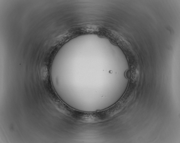 X0000115240704200911131704