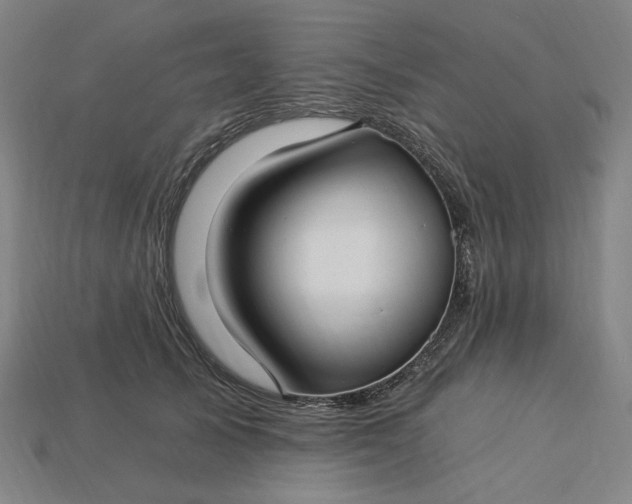 X0000115240705200911131704