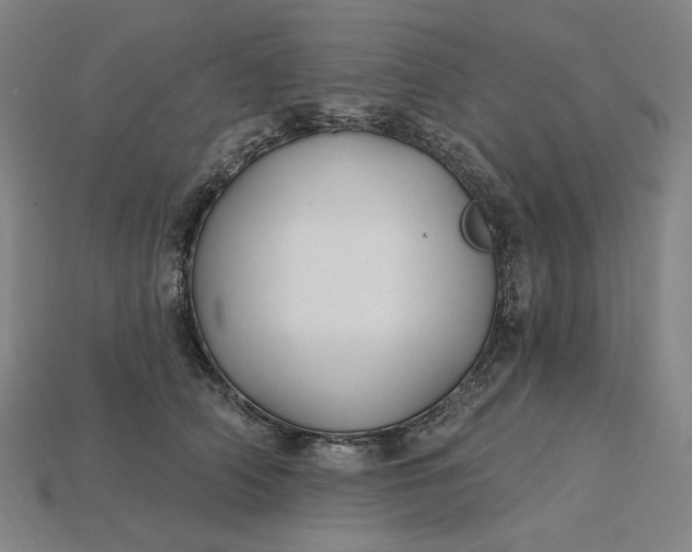 X0000115240706200911131704