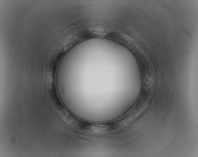 X0000115240707200911131704