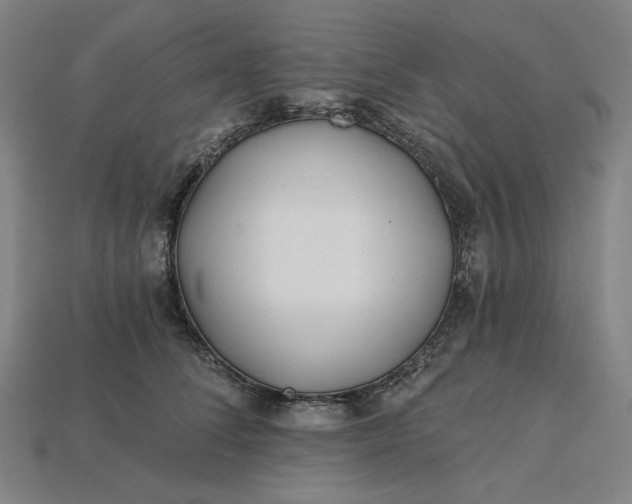 X0000115240708200911131704