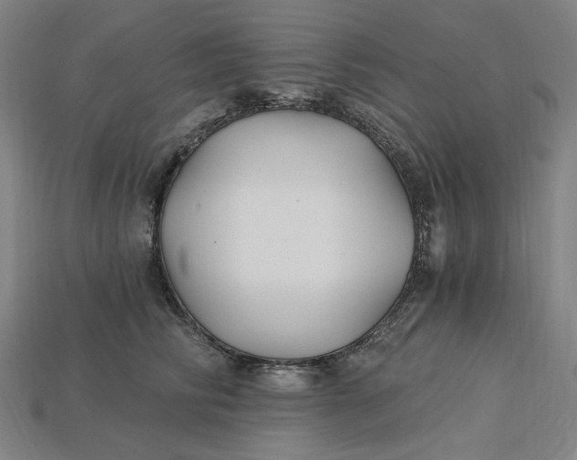X0000115240710200911131704