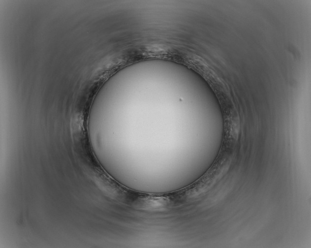 X0000115240711200911131704