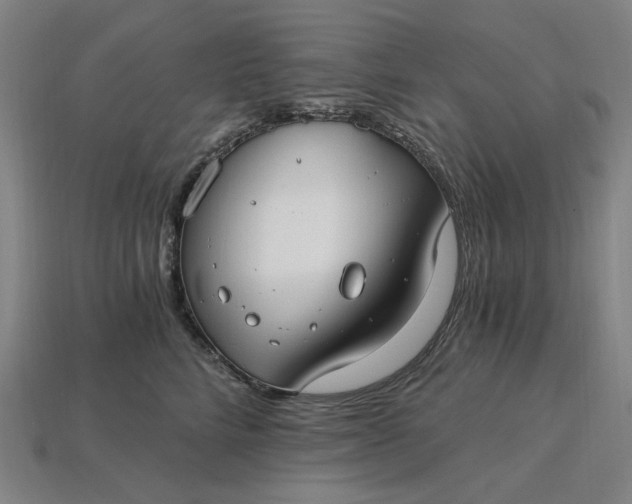 X0000115240712200911131704