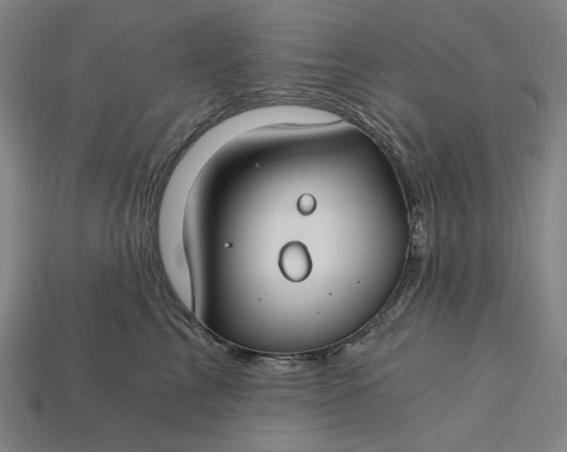 X0000115240713200911131704