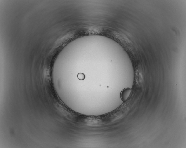 X0000115240714200911131704