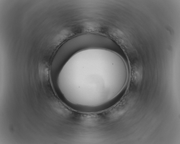 X0000115240716200911131704