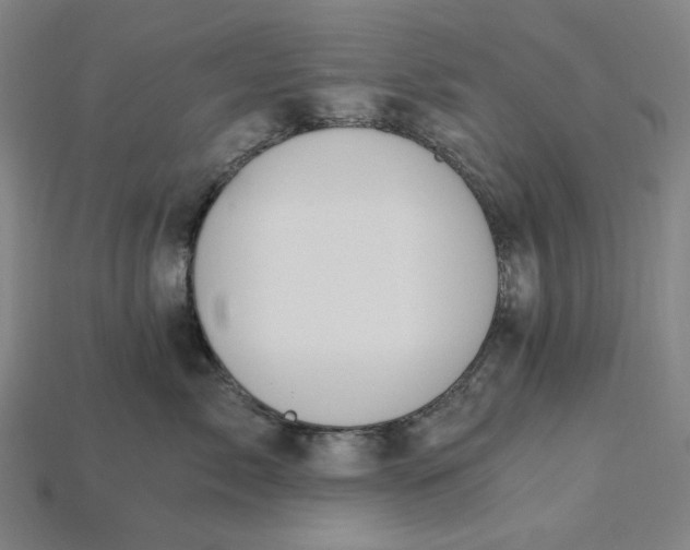 X0000115240717200911131704