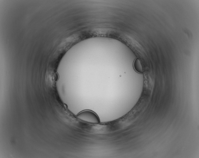 X0000115240718200911131704