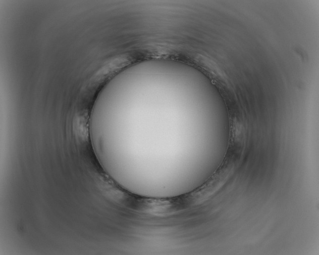 X0000115240719200911131704