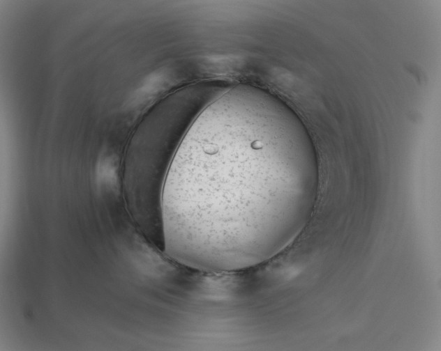 X0000115240720200911131704