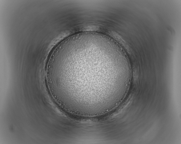 X0000115240721200911131704
