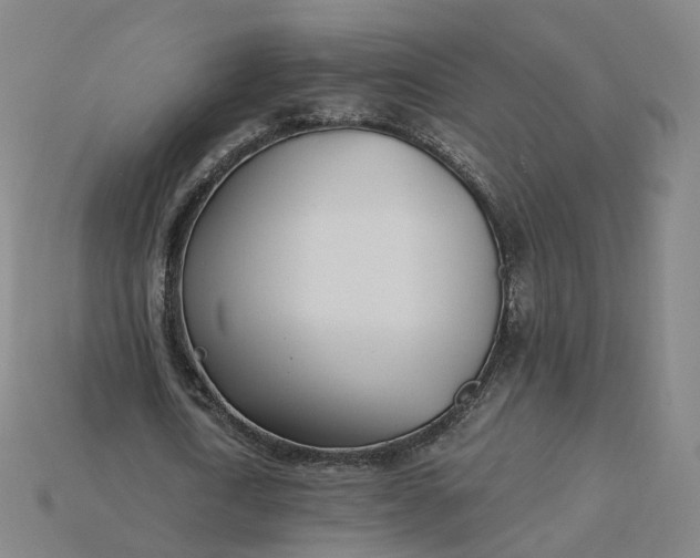 X0000115240722200911131704