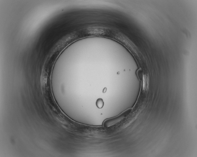 X0000115240723200911131704