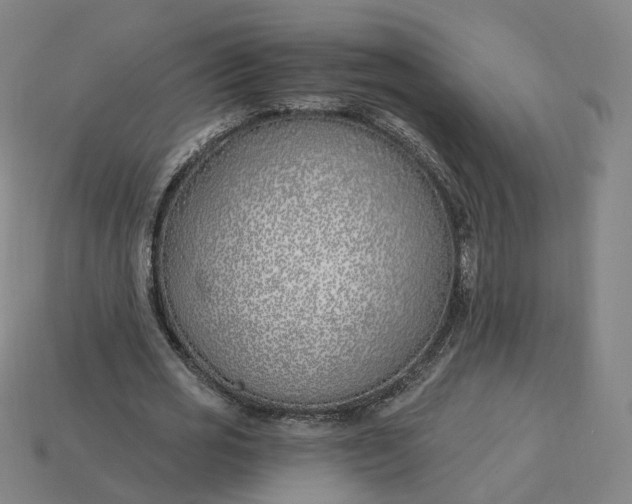 X0000115240725200911131704