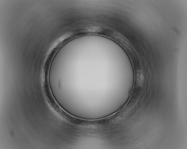 X0000115240726200911131704