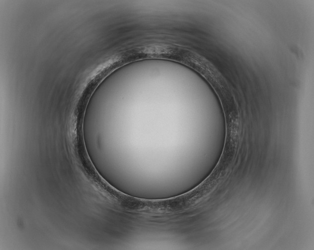 X0000115240727200911131704
