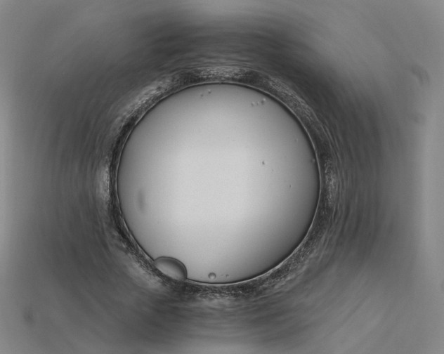 X0000115240729200911131704