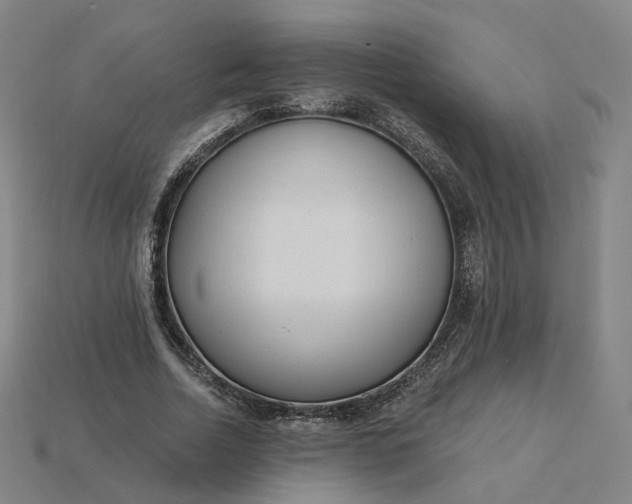X0000115240730200911131704