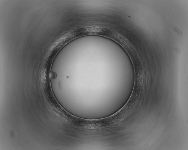 X0000115240731200911131704