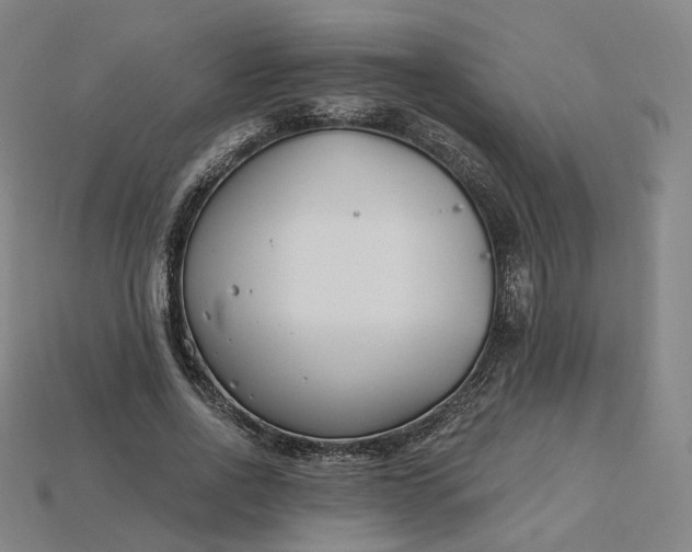 X0000115240734200911131704