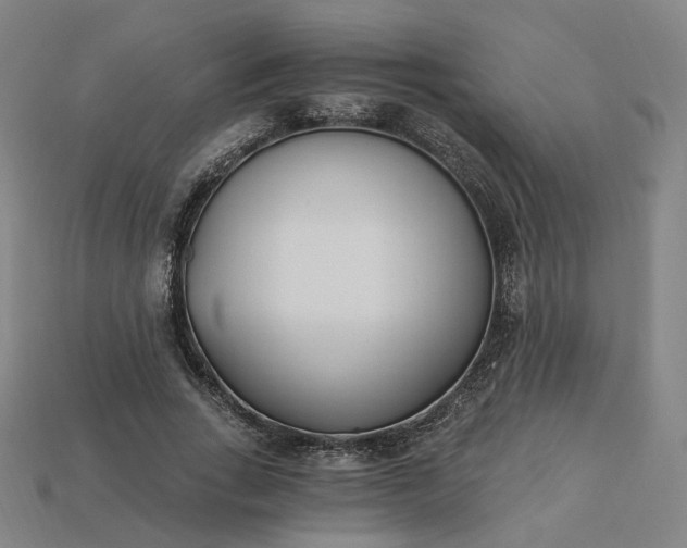 X0000115240735200911131704