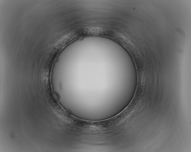 X0000115240737200911131704