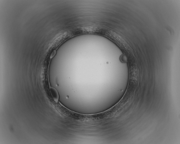X0000115240738200911131704