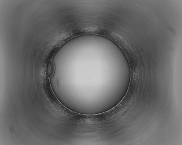 X0000115240739200911131704