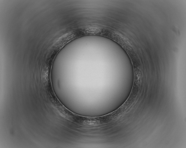 X0000115240745200911131704