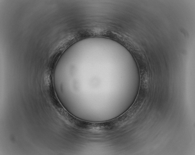 X0000115240746200911131704